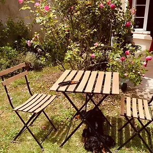 Ibis Rouge , Villars-les-Dombes France